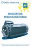 Dutchi Motors. Series DM1-HV Medium & High Voltage. Power is our commodity, the world is our market!