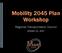 Mobility 2045 Plan Workshop