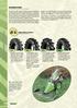 Agricultural tyres INTRODUCTION. Agricultural tyres: B12: B16: B17: B18: