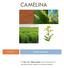 CAMELINA. 3/3/2017 Project Summary. This Farm to Factory project involves all the aspects of growing and using Camelina for bio-diesel production.