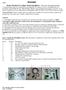 Page 1. File: Motolight caliper one-piece Harley Date: 8/15/2006