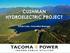 CUSHMAN HYDROELECTRIC PROJECT. Pat McCarty, Generation Manager