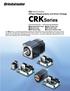 5-Phase Stepping Motor and Driver Package CRKSeries 24 VDC Photocoupler Input 1-Pulse/2-Pulse Input Specifications