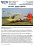 Technical Sheet: Bellanca Eagle DW-1