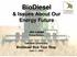 BioDiesel & Issues About Our Energy Future