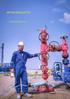 Oilman Group API 6A PRODUCTS OILMAN GROUP LTD. Shanghai Houston