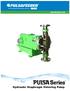An IDEX Water & Wastewater Business. pulsafeeder.com. Hydraulic Diaphragm Metering Pump