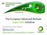 The European Advanced Biofuels Flight Path Initiative