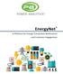 EnergyNet. A Platform for Energy Transaction Settlements and Customer Engagement