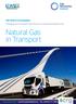Natural Gas in Transport