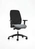 Swivel chair, mesh covered back, synchronous mechanism, weight adjustment, height adjustable backrest 17G2
