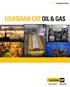 LOUISIANA CAT OIL & GAS
