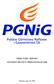 DIRECTORS REPORT ON PGNIG GROUP S OPERATIONS IN 2008