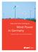 Data and facts relating to. Wind Power in Germany. Supplement 2006 to the E.ON Netz Wind Report
