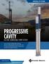 PROGRESSIVE CAVITY ELECTRIC SUBMERSIBLE PUMP SYSTEM ARTIFICIAL LIFT SYSTEMS. franklin-energy.com