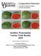 Seedless Watermelon Variety Trial Results 2018