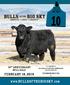 Bulls of the big sky. February 18, th anniversary bull sale 170 YEARLING BULLS SELL. Simmental Angus Simangus