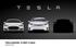 TESLA MODEL 3 FIRST FLASH ISSUED: