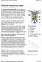 Internal combustion engine From Wikipedia, the free encyclopedia