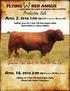 Genetics That Work As Hard As You Do! Selling Over 50 2 Year Old Red Angus Bulls Bred Heifers & Show Heifers